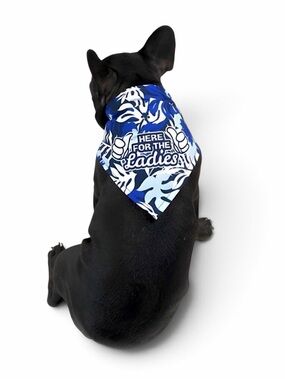 Vibrant Life Aloha Ladies Dog Tank Top & Bows